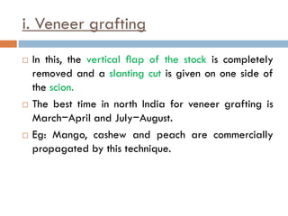 i. Veneer grafting
 In this, the vertical ﬂap of the stock is completely
removed and a slanting cut is given on one side of
the scion.
 The best time in north India for veneer grafting is
March−April and July−August.
 Eg: Mango, cashew and peach are commercially
propagated by this technique.
 