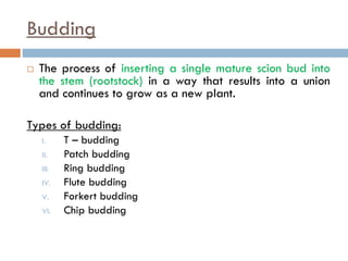 Budding
 The process of inserting a single mature scion bud into
the stem (rootstock) in a way that results into a union
and continues to grow as a new plant.
Types of budding:
I. T – budding
II. Patch budding
III. Ring budding
IV. Flute budding
V. Forkert budding
VI. Chip budding
 