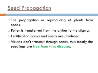 Seed Propagation
 The propagation or reproducing of plants from
seeds.
 Pollen is transferred from the anther to the stigma.
 Fertilization occurs and seeds are produced
 Viruses don’t transmit through seeds, thus mostly the
seedlings are free from virus diseases.
 