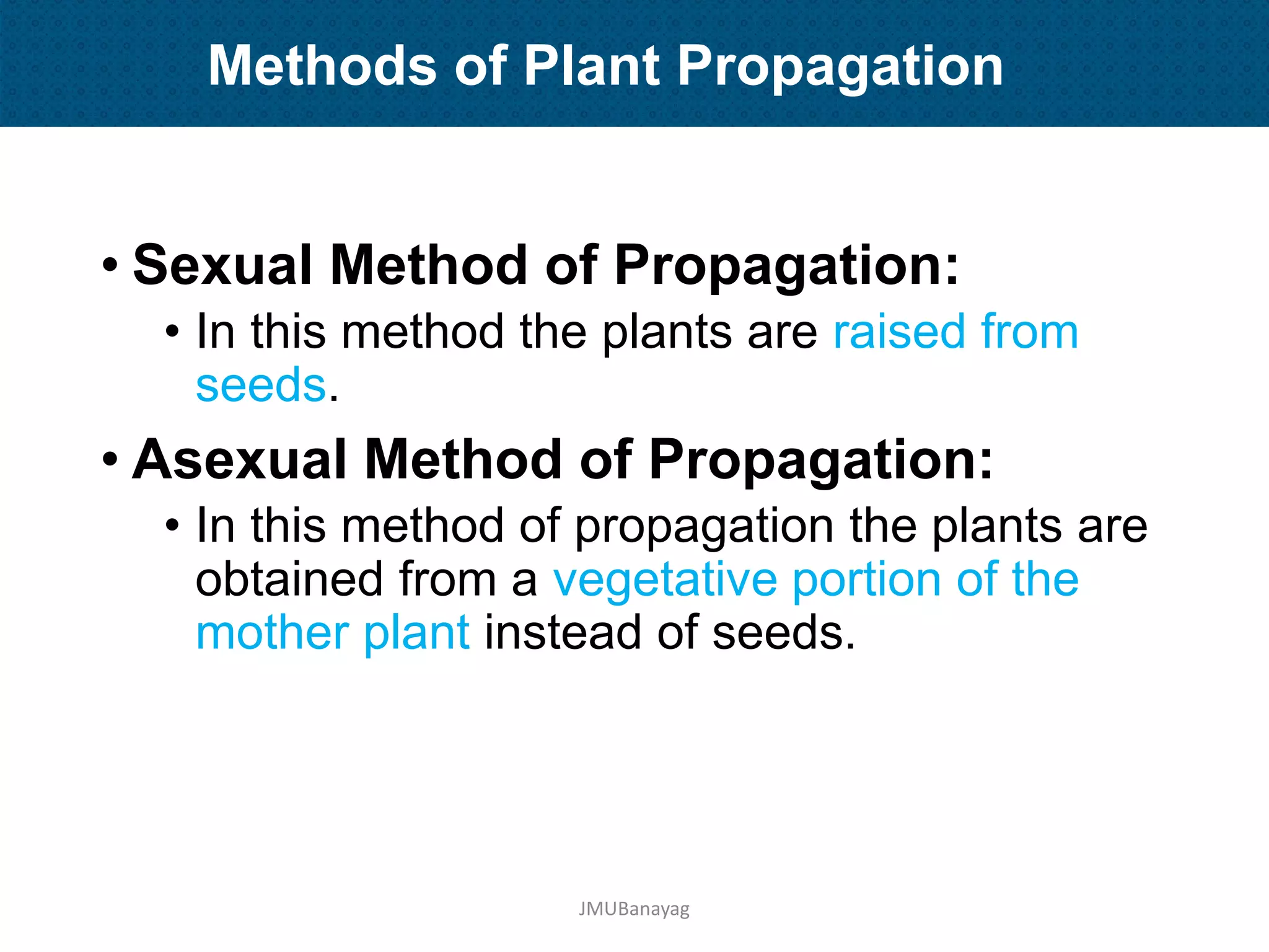 Plant Propagation and Nursery Management | PDF
