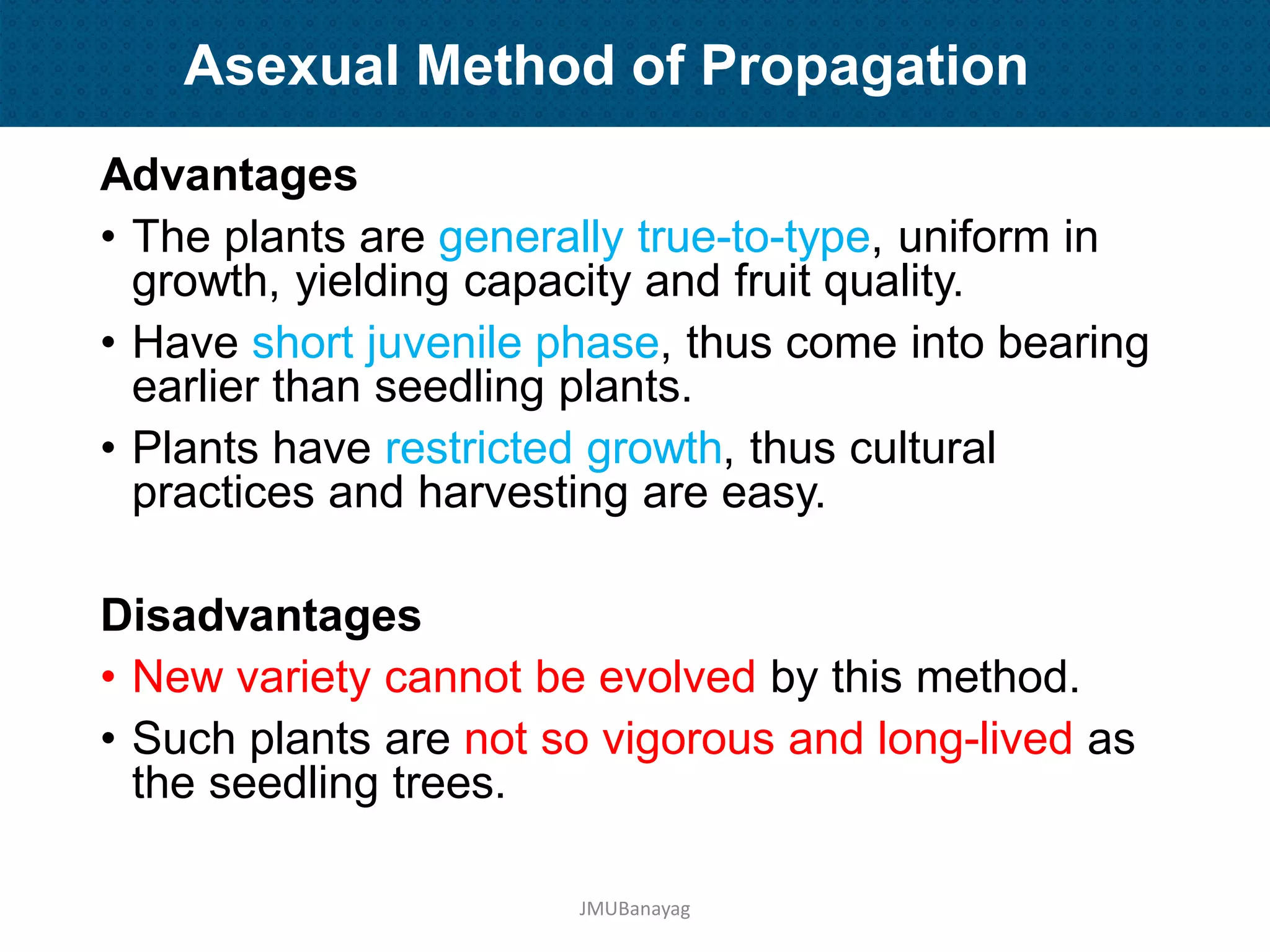 Plant Propagation and Nursery Management | PDF