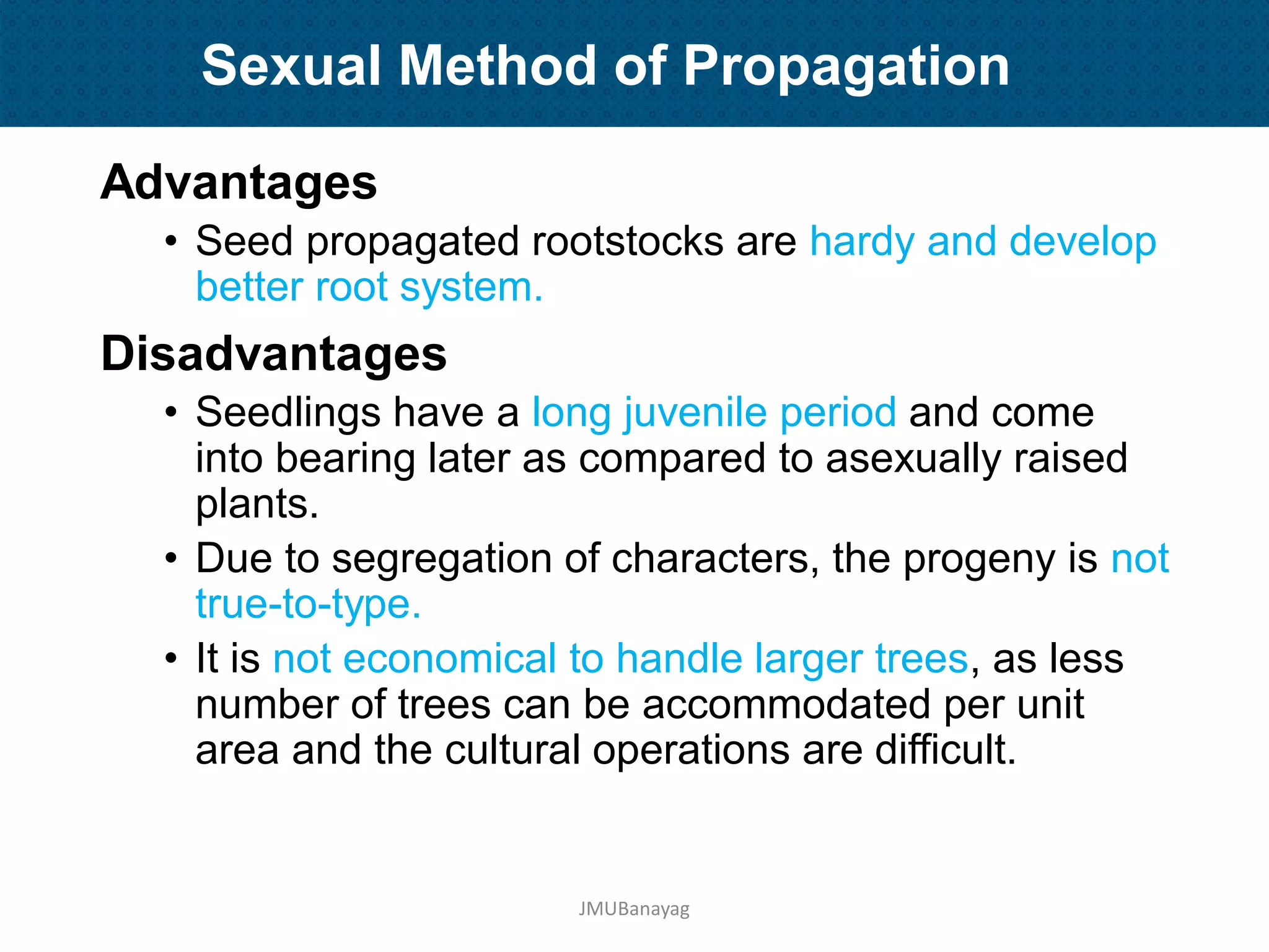 Plant Propagation and Nursery Management | PDF