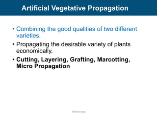 Plant Propagation and Nursery Management | PDF