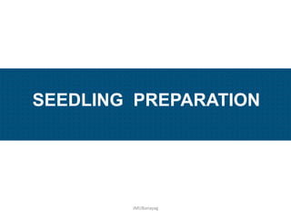 Plant Propagation and Nursery Management | PDF