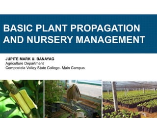 JUPITE MARK U. BANAYAG
Agriculture Department
Compostela Valley State College- Main Campus
BASIC PLANT PROPAGATION
AND NURSERY MANAGEMENT
JMUBanayag
 