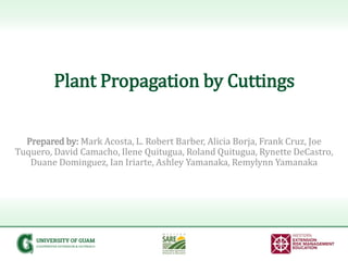 Plant Propagation by Cuttings
Prepared by: Mark Acosta, L. Robert Barber, Alicia Borja, Frank Cruz, Joe
Tuquero, David Cam...
