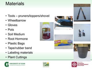 Materials
• Tools – pruners/loppers/shovel
• Wheelbarrow
• Gloves
• Pots
• Soil Medium
• Root Hormone
• Plastic Bags
• Tap...