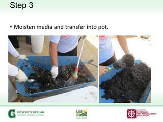 Step 3
• Moisten media and transfer into pot.
 