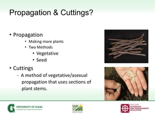 Propagation & Cuttings?
• Propagation
• Making more plants
• Two Methods
• Vegetative
• Seed
• Cuttings
- A method of vege...
