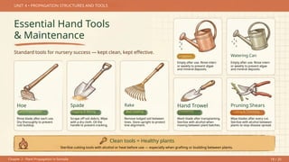 Comprehensive Guide to Plant Propagation and Nursery Management in ...