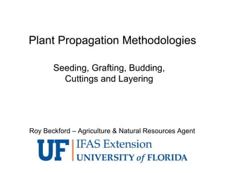 Plant Propagation Methodologies
Seeding, Grafting, Budding,
Cuttings and Layering
Roy Beckford – Agriculture & Natural Resources Agent
 