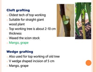 Cleft grafting
o Oldest tech of top working
o Suitable for straight giant
wood plant
o Top working tree is about 2-10 cm
thickness
o Waxed the scion stock
o Mango, grape
Wedge grafting
o Also used for top working of old tree
o V wedge shaped incision of 5 cm
o Mango, grape
 