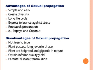 Advantages of Sexual propagation
o Simple and easy
o Create diversity
o Long life cycle
o Express tolerance against stress
o Rootstock preparation
o e.i. Papaya and Coconut
Disadvantages of Sexual propagation
o Not true to type
o Plant possess long juvenile phase
o Plant are heighted and gigantic in nature
o Obtain inferior quality yield
o Parental disease transmission
 