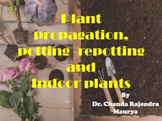 Plant
propagation,
potting -repotting
and
Indoor plants
By
Dr. Chanda Rajendra
Maurya
Dr. Chanda Rajendra Maurya
06/05/2021
 