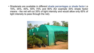 Plant Propagation Structures | PPTX