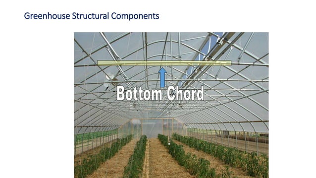 Plant Propagation Structures | PPTX | Gardening | Home & Garden