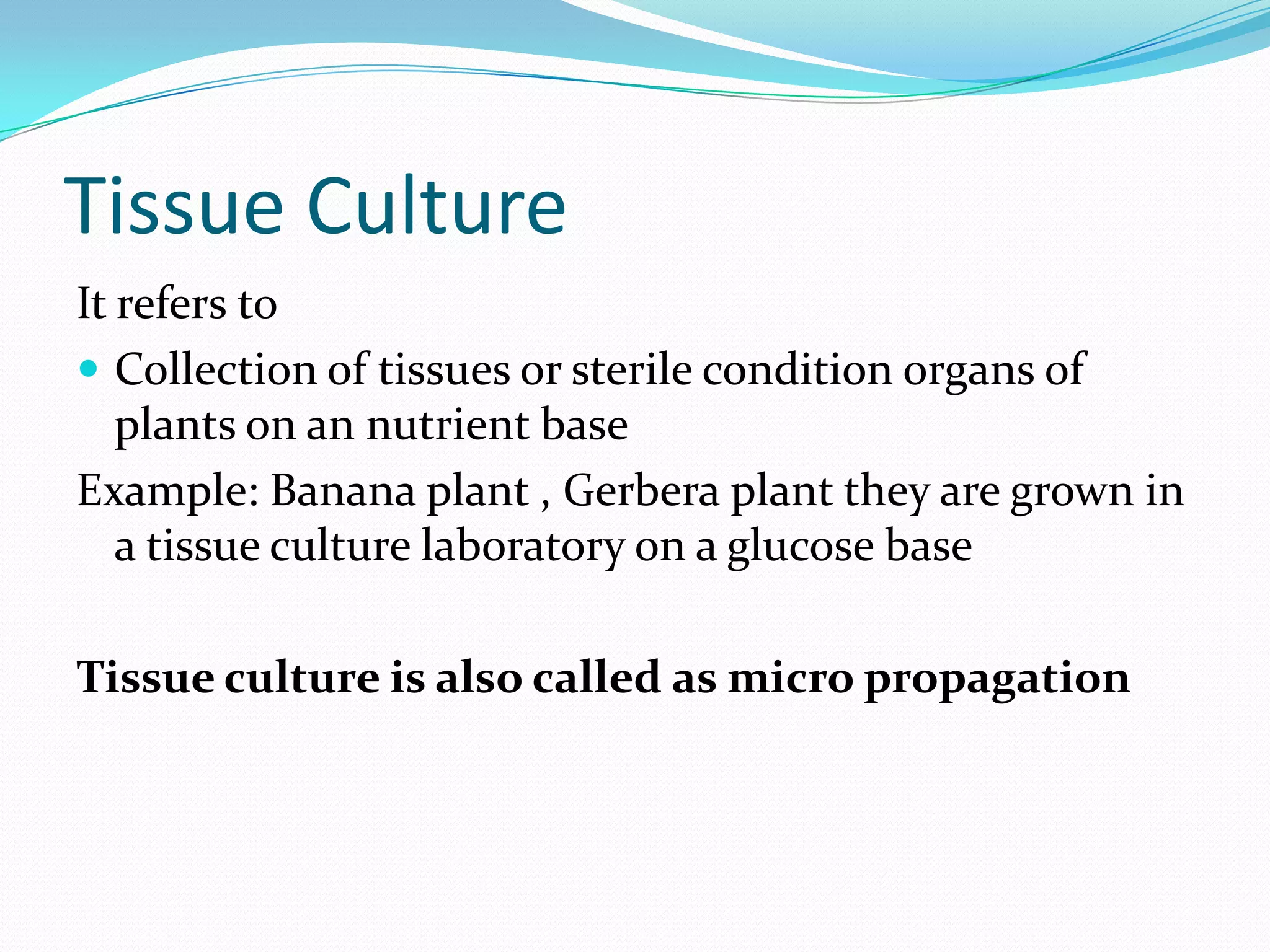 Tissue Culture
It refers to
 Collection of tissues or sterile condition organs of
plants on an nutrient base
Example: Banana plant , Gerbera plant they are grown in
a tissue culture laboratory on a glucose base
Tissue culture is also called as micro propagation
 