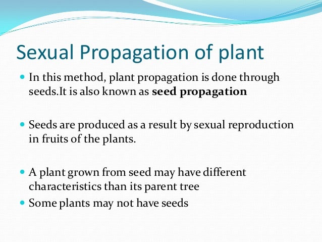 Plant Propogation Plant Propogation