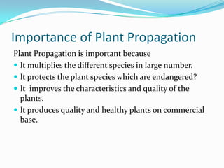Importance of Plant Propagation
Plant Propagation is important because
 It multiplies the different species in large number.
 It protects the plant species which are endangered?
 It improves the characteristics and quality of the
plants.
 It produces quality and healthy plants on commercial
base.
 