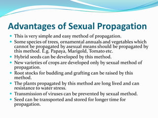 Advantages of Sexual Propagation
 This is very simple and easy method of propagation.
 Some species of trees, ornamental annuals and vegetables which
cannot be propagated by asexual means should be propagated by
this method. E.g. Papaya, Marigold, Tomato etc.
 Hybrid seeds can be developed by this method.
 New varieties of crops are developed only by sexual method of
propagation.
 Root stocks for budding and grafting can be raised by this
method.
 The plants propagated by this method are long lived and can
resistance to water stress.
 Transmission of viruses can be prevented by sexual method.
 Seed can be transported and stored for longer time for
propagation.
 