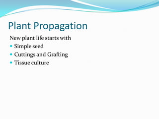 Plant Propagation
New plant life starts with
 Simple seed
 Cuttings and Grafting
 Tissue culture
 