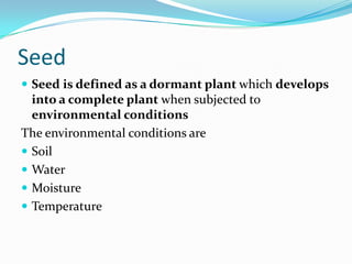 Seed
 Seed is defined as a dormant plant which develops
into a complete plant when subjected to
environmental conditions
The environmental conditions are
 Soil
 Water
 Moisture
 Temperature
 