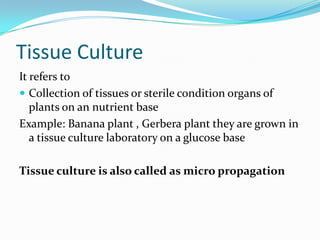 Tissue Culture
It refers to
 Collection of tissues or sterile condition organs of
plants on an nutrient base
Example: Banana plant , Gerbera plant they are grown in
a tissue culture laboratory on a glucose base
Tissue culture is also called as micro propagation
 