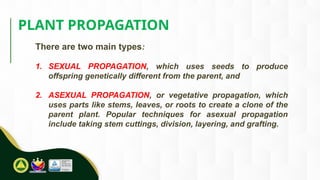 To demonstrate proper techniques in propagating plants. | PPTX