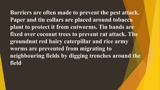 Barriers are often made to prevent the pest attack.
Paper and tin collars are placed around tobacco
plant to protect it from cutworms. Tin bands are
fixed over coconut trees to prevent rat attack. The
groundnut red hairy caterpillar and rice army
worms are prevented from migrating to
neighbouring fields by digging trenches around the
field
 