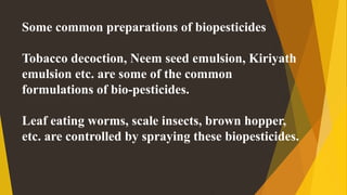 Some common preparations of biopesticides
Tobacco decoction, Neem seed emulsion, Kiriyath
emulsion etc. are some of the common
formulations of bio-pesticides.
Leaf eating worms, scale insects, brown hopper,
etc. are controlled by spraying these biopesticides.
 