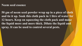 Neem seed essence
50 gm of neem seed powder wrap up in a piece of cloth
and tie it up. Soak this cloth pack in 1 litre of water for
12 hours. Keep on squeezing the cloth pack and make
the liquid more and more thick. Dilute the liquid and
spray. It can be used to control several pests.
 