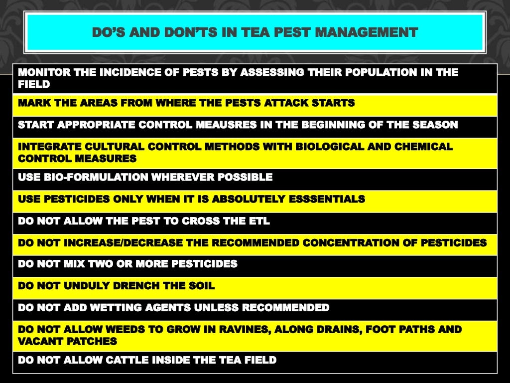 Plant protection Code in tea A step towards safetyof Indian tea