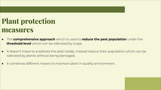 Plant Protection Measures against insect pest and diseases 