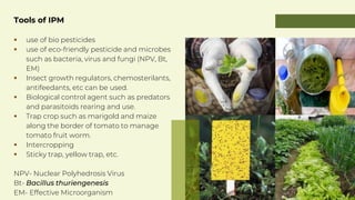Plant Protection Measures against insect pest and diseases 