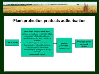 Plant protection product registration and control in lithuania (l.taluntyte)