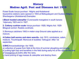 History
Madras Agril. Pest and Diseases Act 1919
Fluted Scale Icerya purchasi : Nilgiris and Kodaikanal
Quarantine stations were opened in 1943 at Mettupalayam and Gudalur (Nilgiris),
Shenbeganur (Kodaikanal) Examples:
l.Black headed caterpillar O.arenosella mangalore in south kanara
1stjanuary 1923 and in 1927.
2. Cottony cushion scale Icerya purchasi -1928, Nilgiris Act: 1929
Bilogical control: Rodalia cordinalis.
3.Stomoxys calcitrans 1943 in melon crop Ground cake applied as a
manure.
4.Cotton boll worms and stem weevils- July 1913, coimbatore, salem,
madurai, Tiruchirapalli :Removal of stubbles 1stAugust- After 1st
september.
5.RHCAmsactaalbistriga- Act 1930,
a) collection of pupae from field at the time of summer ploughing and sowing.
b) putting light trap and bonafires in the field during early hrs of the night at the time
of emergence of moths after the rains.
c) hand picking of egg masses & caterpillar and destroy them.
prabha.reddy95@gmail.com
 