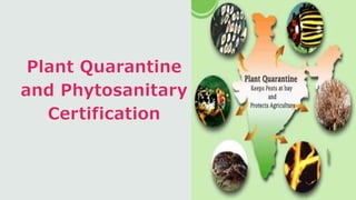 Plant Quarantine
and Phytosanitary
Certification
 