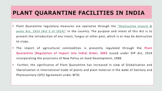 Plant quarantine and phytosanitary certification