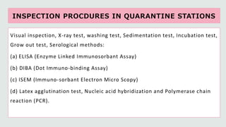 Plant quarantine and phytosanitary certification