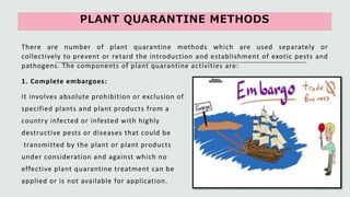 Plant quarantine and phytosanitary certification
