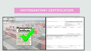 Plant quarantine and phytosanitary certification