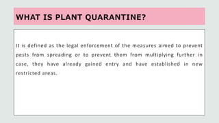 Plant quarantine and phytosanitary certification