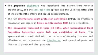 Plant quarantine and phytosanitary certification