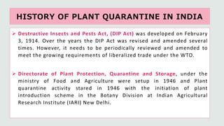 Plant quarantine and phytosanitary certification