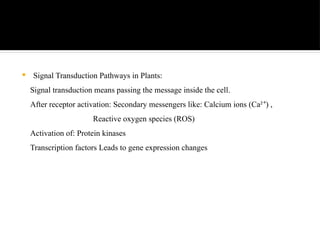 Comprehensive Overview of Plant Receptors and Signal Transduction ...