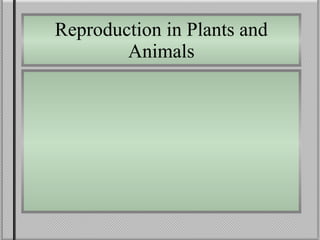 Reproduction in Plants and Animals 