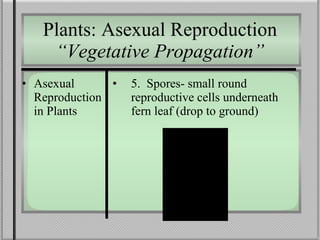 Plant reprod | PPT