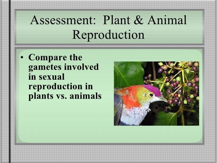 Plant reprod