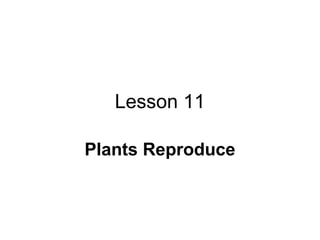 Lesson 11

Plants Reproduce
 