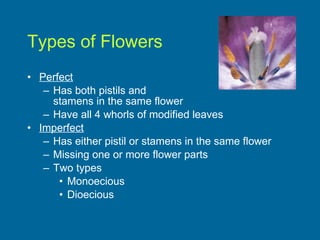 Types of Flowers Perfect Has both pistils and  stamens in the same flower Have all 4 whorls of modified leaves  Imperfect Has either pistil or stamens in the same flower Missing one or more flower parts  Two types Monoecious Dioecious 